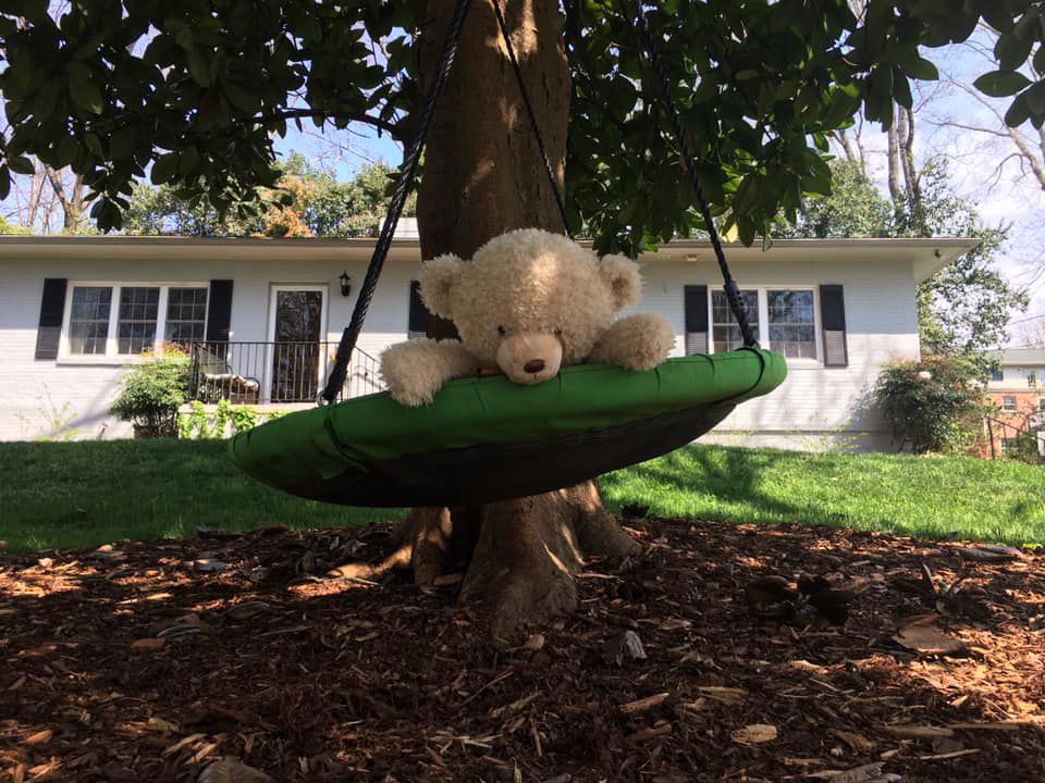 bear hunt photos (15).jpg
